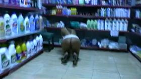 Horny voyeur Voyeur porn video