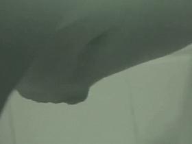 Girls pee on spy camera demonstrating the pussy closeups