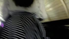 Russian Upskirt 2796