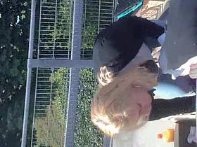 Blonde chick leans forward and flashes downblouse in street