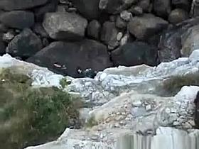 Lovers on Rocky Beach