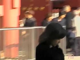 Playful lovable doll getting nicely tricked by some random sharking stranger