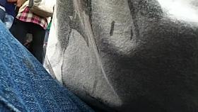 universitaria en licra