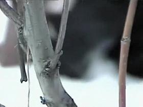 Outdoor Spy Nastya Voyeur 10