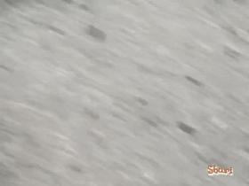 Curly Japanese sweetie loses some of her pubes during sharking attack