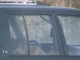 Car voyeur couple