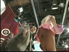 Sexy models give a peek upskirt at hot ass bowling on TV