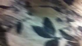 Voyeur upskirt - fast food outlet