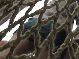 Awesome street ups with the incredible legs view