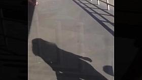 Mallas pegadas y grandes traseros