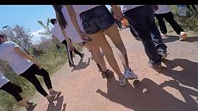 colorex tight short ass