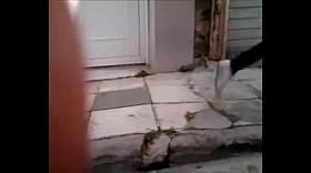 A short Greek Voyeur