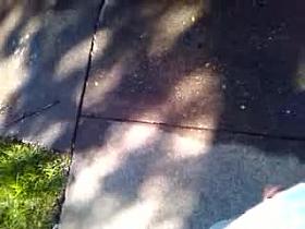 talking with neighbor