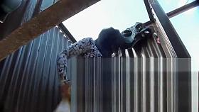 Hot Voyeur Clip Unique