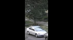 Big Booty Neighbor PAWG