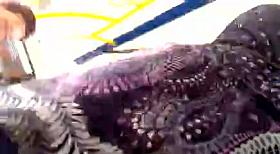 Purple patterned skirt