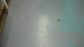 wife shopping Black Leather Mini Skirt, Leopard Heels