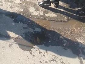 spy sexy girls nylon romanian