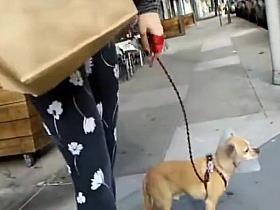 BootyCruise: Walkin' & Talkin'