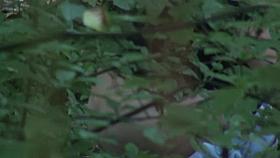 Girls Pissing voyeur video 1